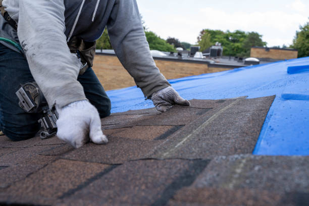 Best Emergency Roof Repair  in Portales, NM