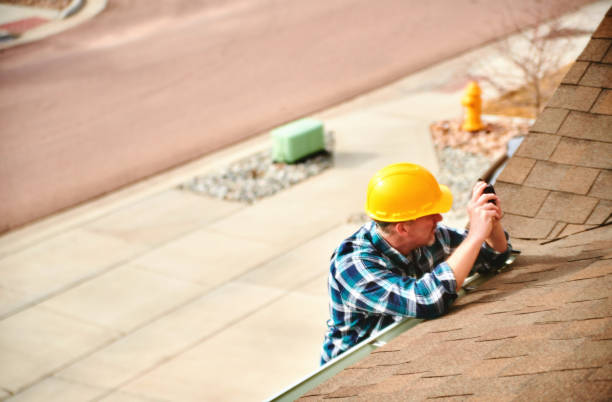Roof Gutter Cleaning in Portales, NM