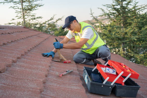 Best Metal Roofing Contractor  in Portales, NM