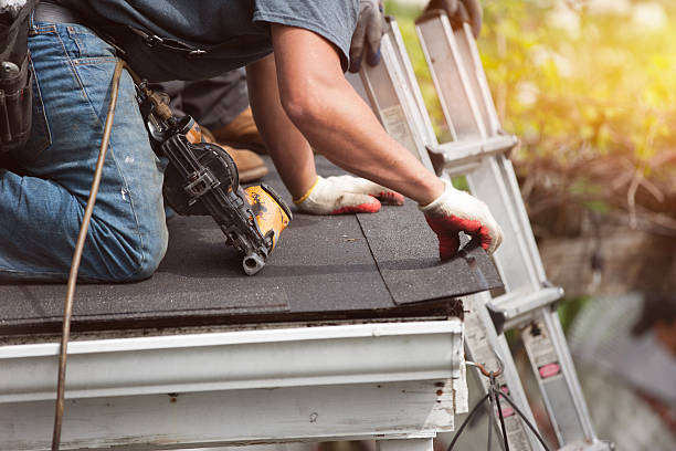 Best Roof Gutter Cleaning  in Portales, NM